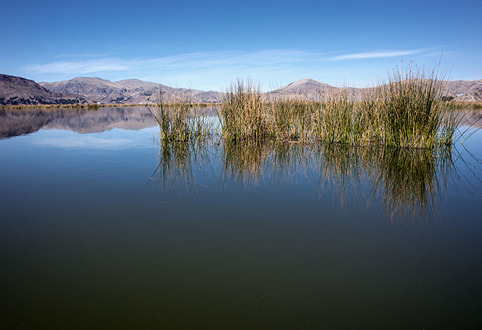 Humedales en el Lago Titicaca