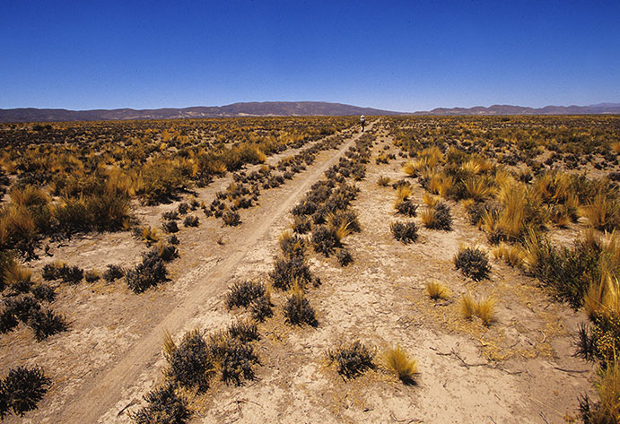 El camino Inka