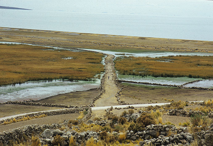 Una carretera Inka elevada