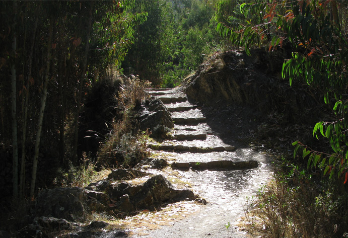 El Qhapaq Ñan en Antisuyu