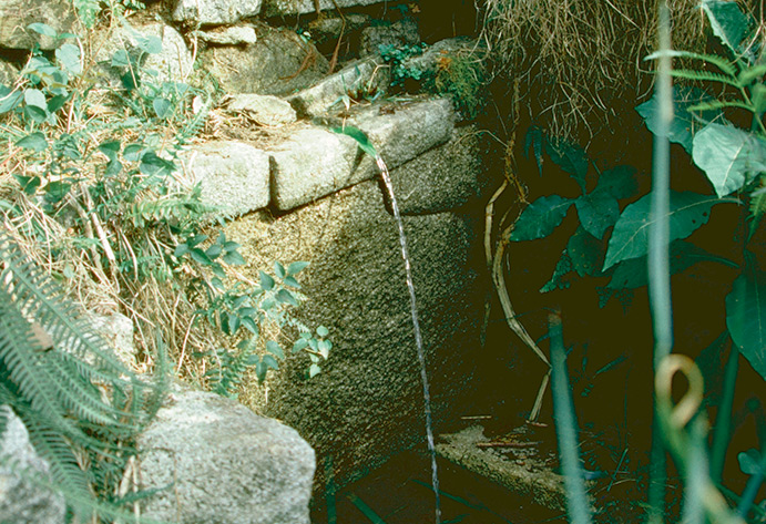 Fuente de agua al costado del camino