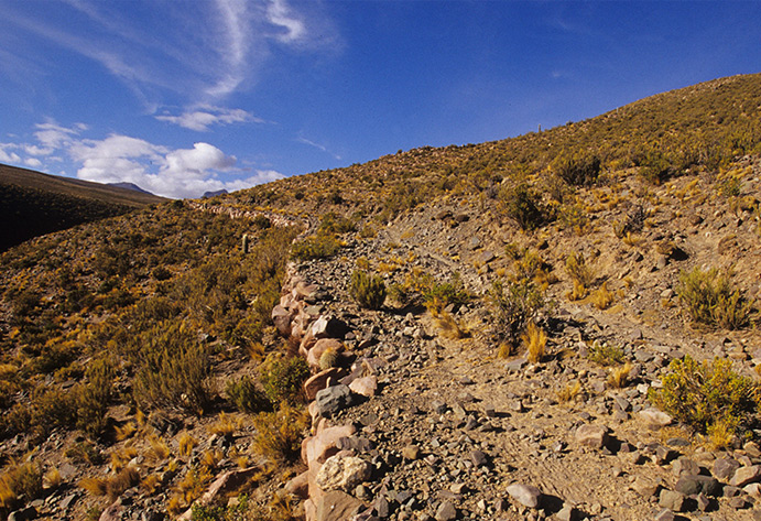 El Qhapaq Ñan en Collasuyu