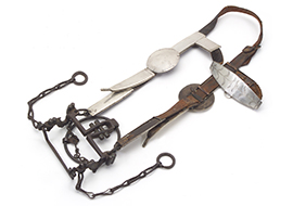 Bridle