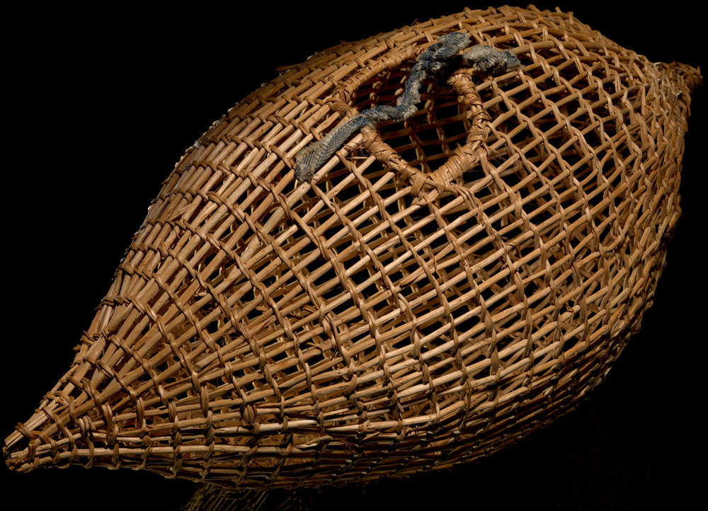 Fish traps
