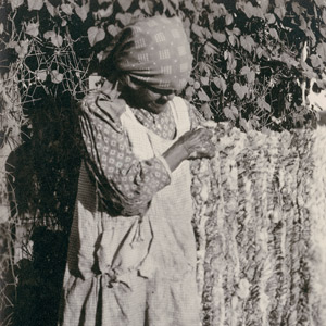 Photograph of Mary Johnson