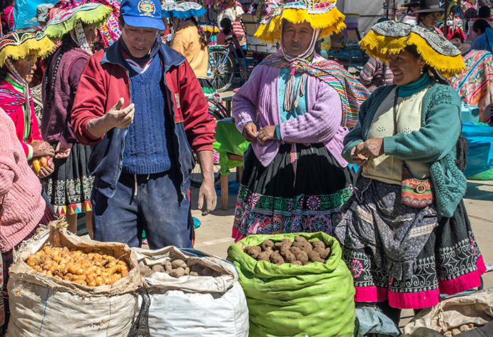 Potatoes being sold at a Quechua market