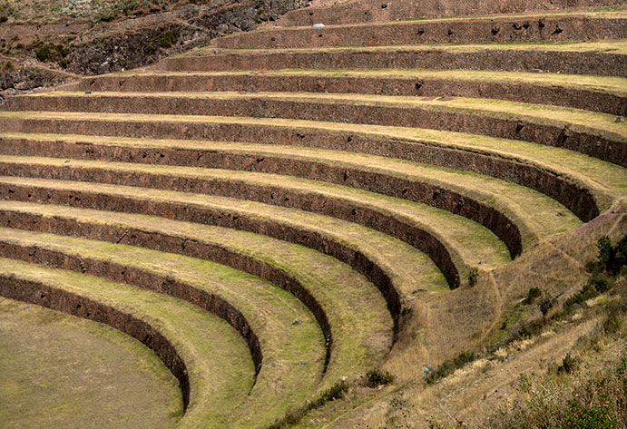 Inka agricultural terraces