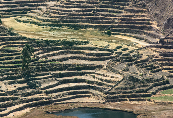 Agricultural terraces