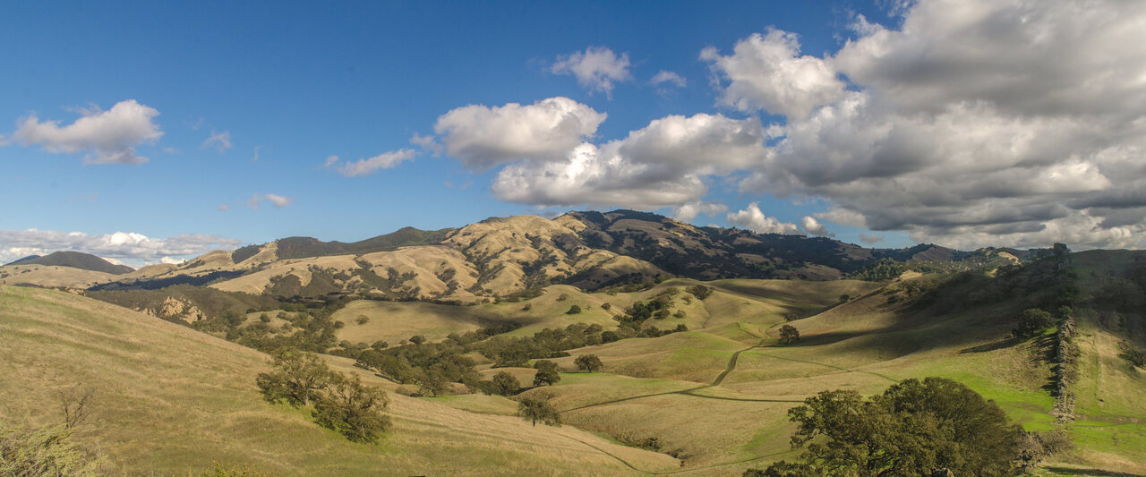 Oak woodlands on a mountain sacred to Bay Miwok, Ohlone, and many Native nations.  Named Mt. Diablo by the Spanish, in present-day Contra Costa County.