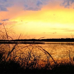 photograph of the Pamunky River