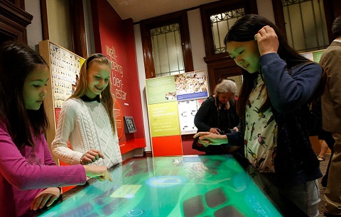 Children interacting with digital resources in the classroom