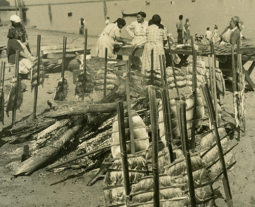 Pacific Northwest History and Cultures: Why Do the Foods We Eat Matter?