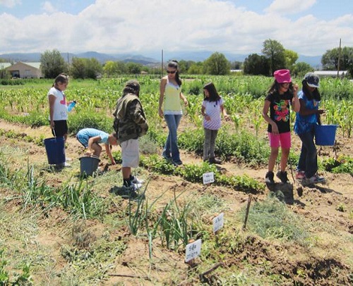 Gardens that Nurture Culture