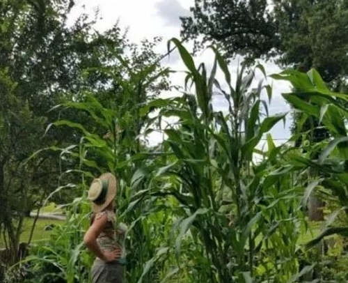 Educator’s Blog: Land Acknowledgments as a Tool Towards Social Justice in Your Classroom