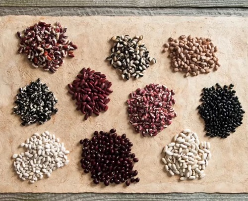 The Revitalization and Evolution of Indigenous Foods throughout North America with Sean Sherman