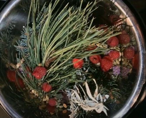 Teach-In: Traditional Foods Sustain our Bodies and Spirits