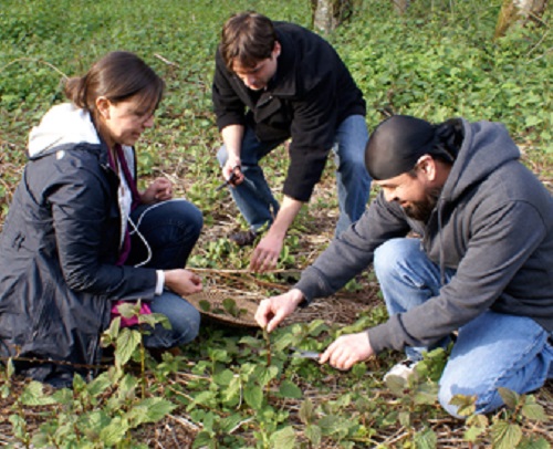 Indigenous Food Sovereignty